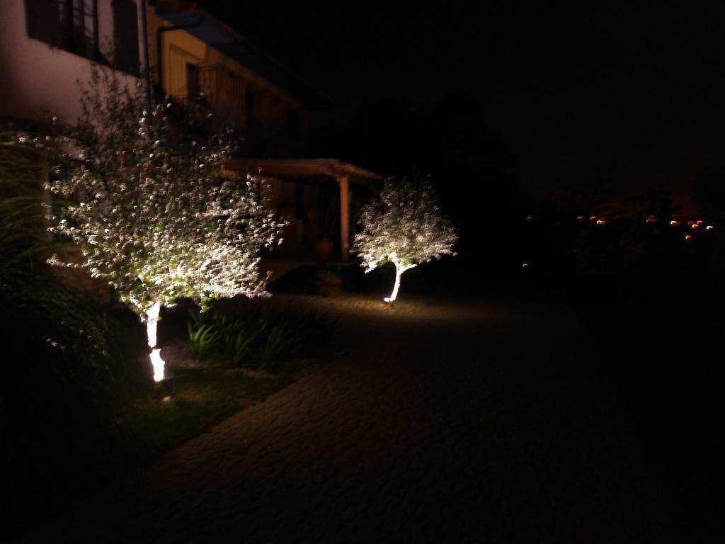 Quinta Do Senhor Villa Braga Exteriör bild