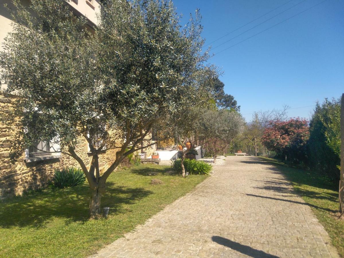 Quinta Do Senhor Villa Braga Exteriör bild